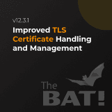 The Bat! v12.3.1 Introduces TLS 1.3 Support and Enhanced Security